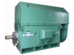 YKK8006-8Y系列6KV高压电机